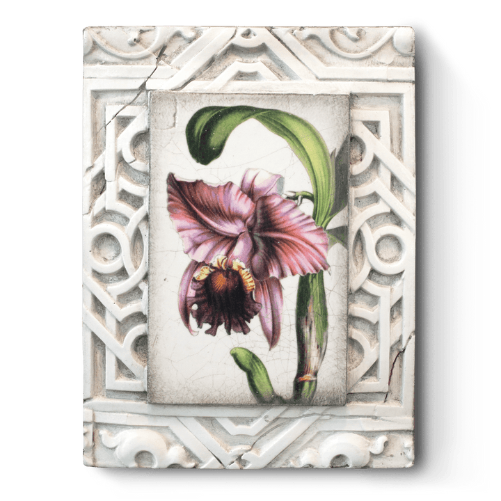 AT 68 Lotus - RETIRED & SIGNED Sid Dickens Memory Block