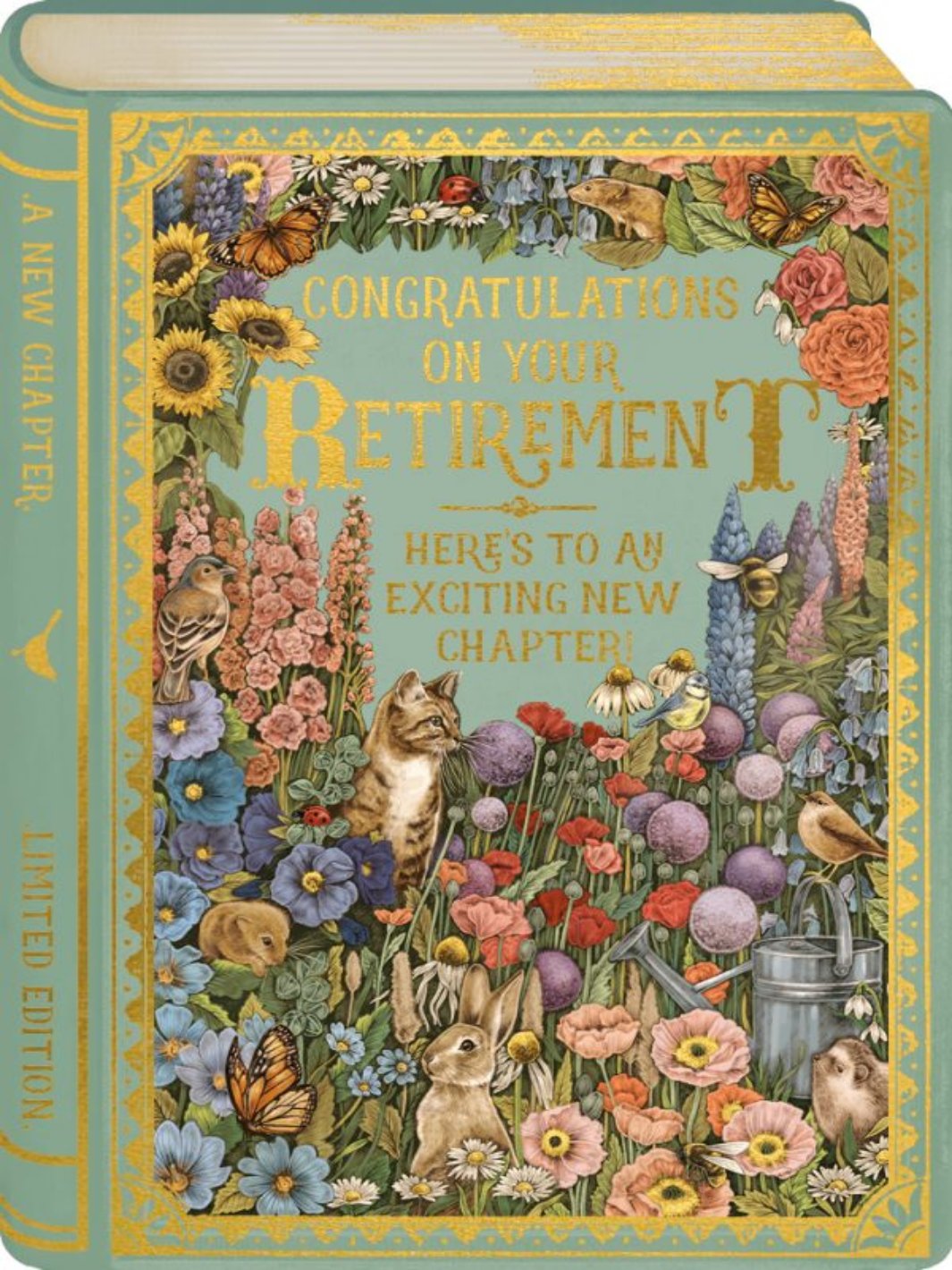 Congratulations on you Retirement -Story Book Greeting Card
