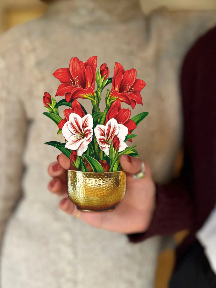 Pop Up Flower Bouquet Greeting Card -Mini Scarlett Amaryllis