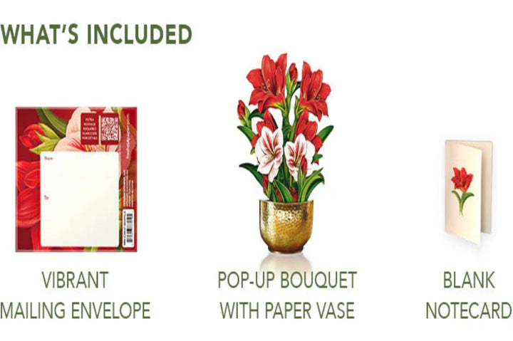 Pop Up Flower Bouquet Greeting Card -Mini Scarlett Amaryllis