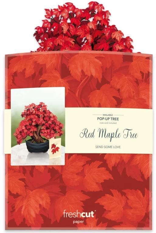 Pop Up Flower Bouquet  Greeting Card | Red Maple