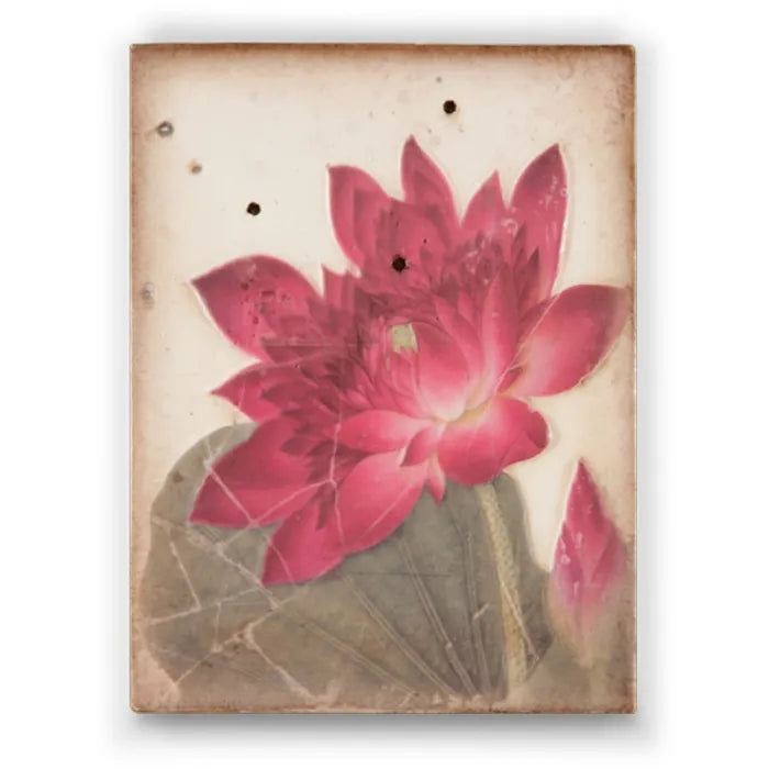 T 259 Ancient Bloom- RETIRED Sid Dickens Memory Block