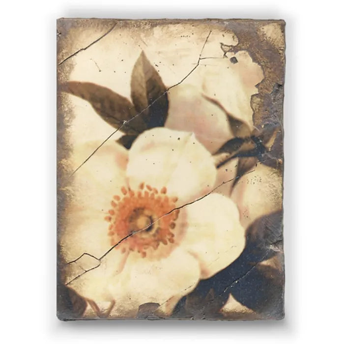 T 114 Wild Rose Retired Sid Dickens Memory Block