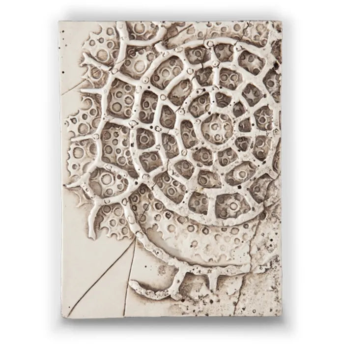 T 209 Corridor Retired Sid Dickens Memory Block