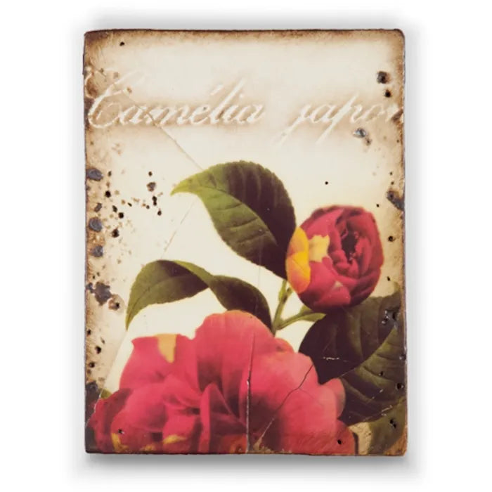 T 219 Camelia Retired Sid Dickens Memory Block