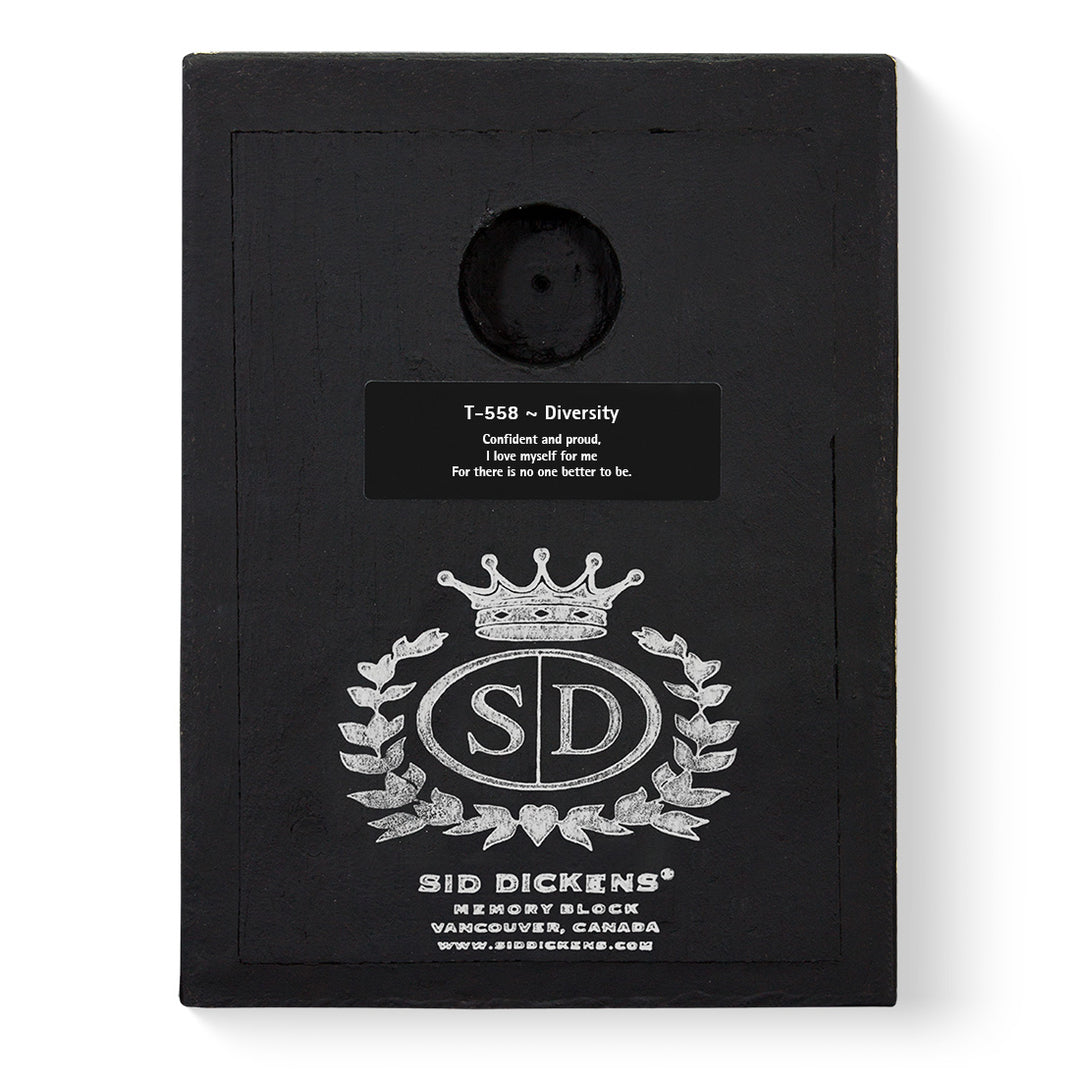 T 558 Diversity Retired Sid Dickens Memory Block