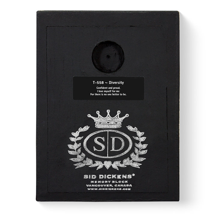 T 558 Diversity Retired Sid Dickens Memory Block