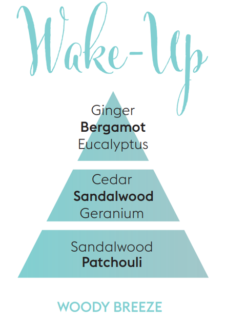 Aromatherapy Wake-Up - Car Diffuser Refills