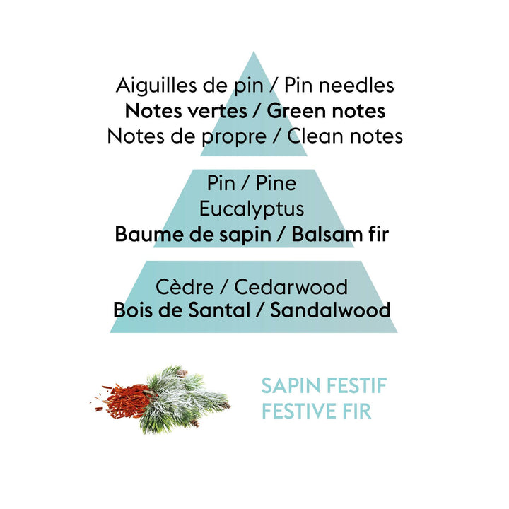 Festive Fir - Car Diffuser Pack
