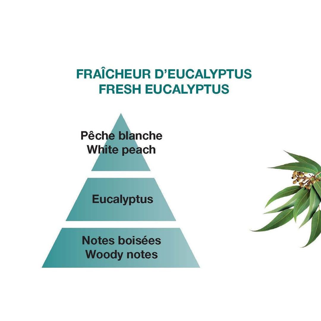 Fresh Eucalyptus Lampe Berger Refill