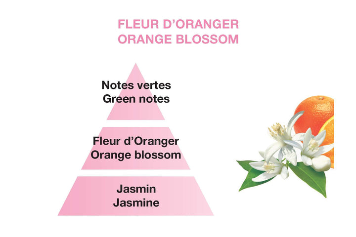 Amphora Reed Diffuser Gift Set - Raspberry | Discontinued