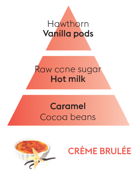 Creme Brulee Lampe Berger Refill Fuel