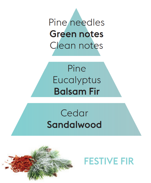 Reed Diffuser Refill - Festive Fir