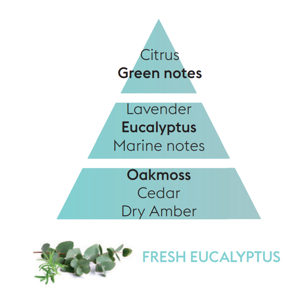 Reed Diffuser Refill - Fresh Eucalyptus