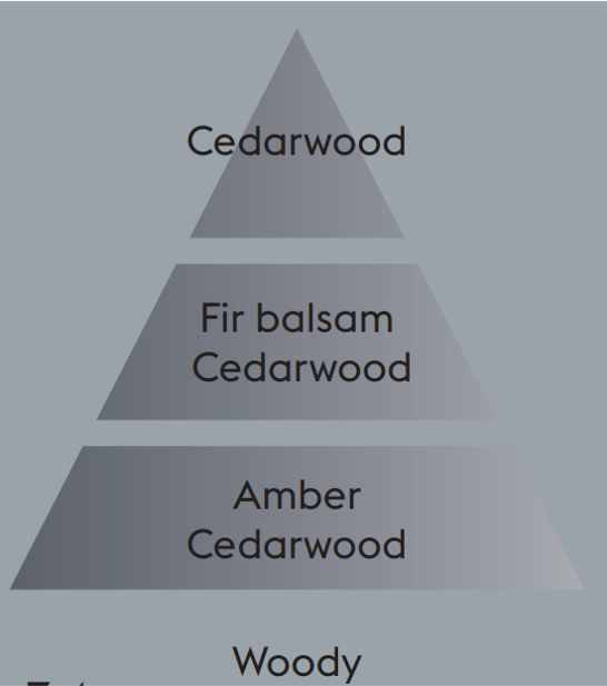 Anti-Odour Anti-Tobacco 1 (Woodsy) - Car Diffuser Refills