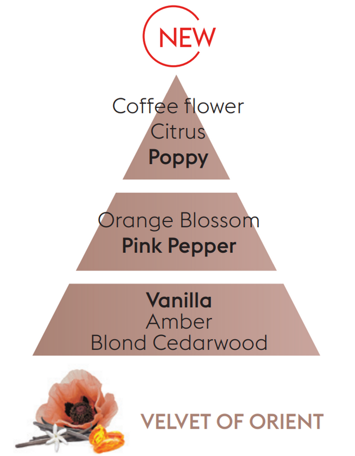 Reed Diffuser Refill - Velvet Of Orient