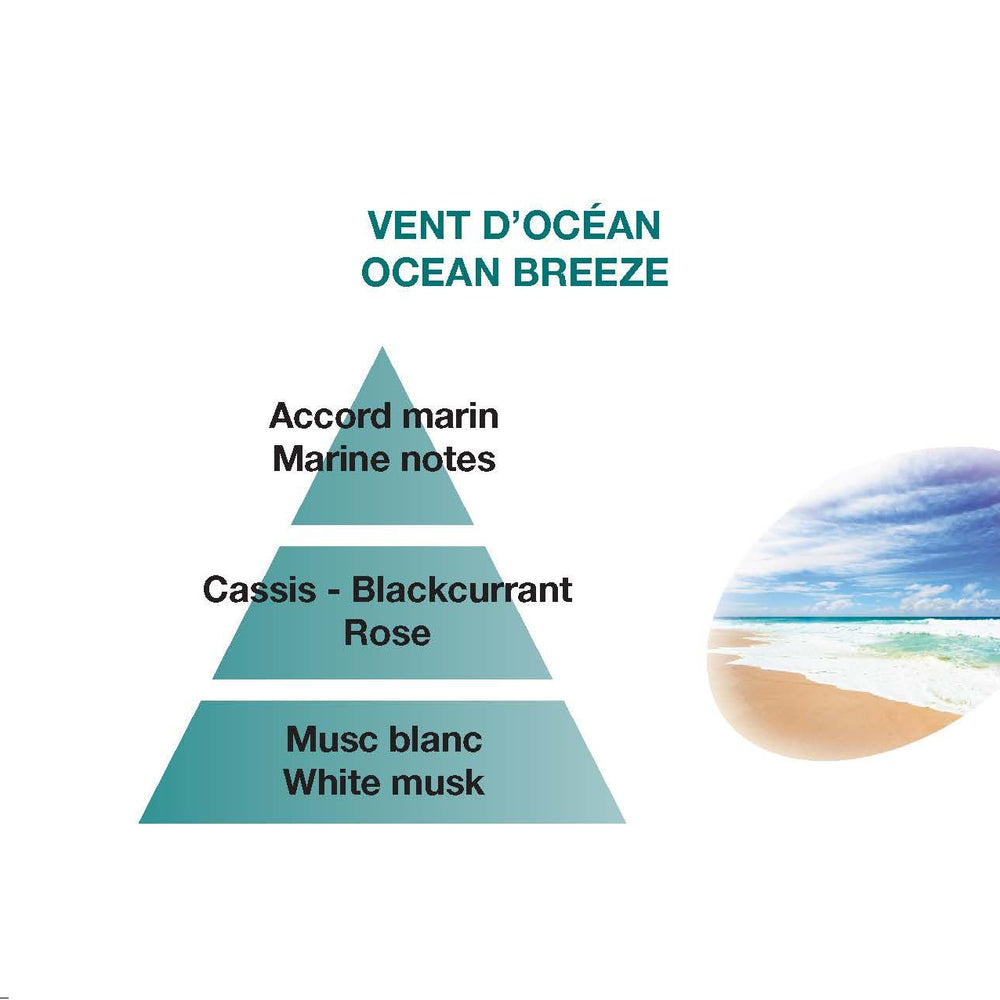 Ocean Breeze Scent Profile