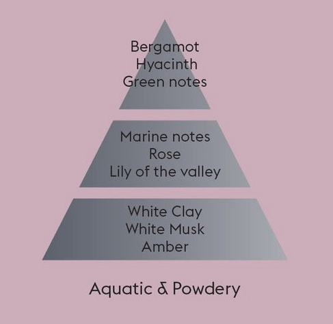 Reed Diffuser Refill Anti Odour - Musty Odours (Aquatic & Powdery)