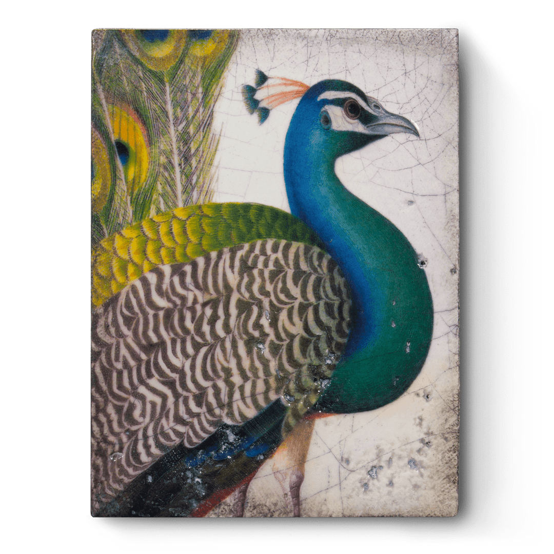 T 287 Fabled Bird Retired Sid Dickens Memory Block
