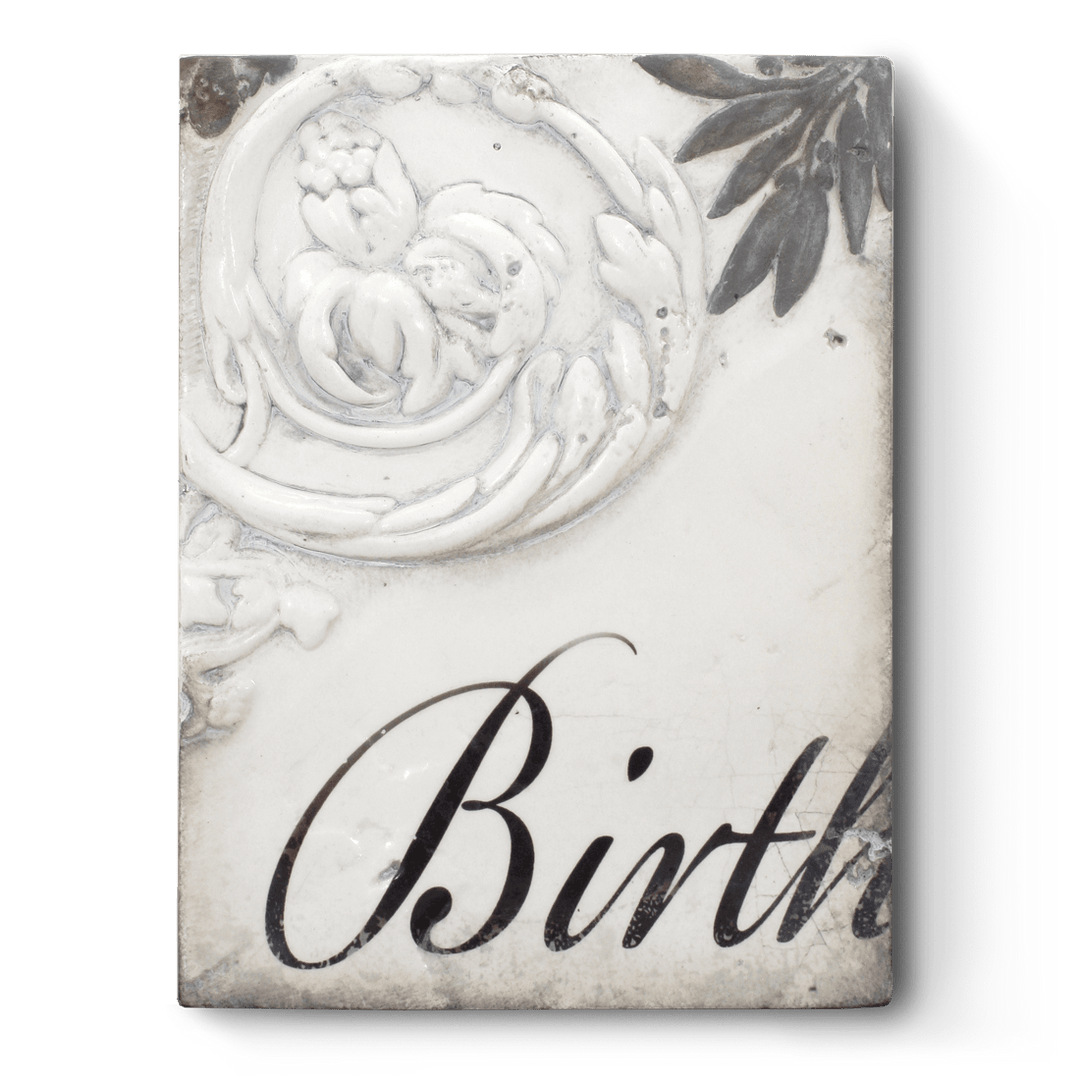 T 306 Birth - RETIRED Sid Dickens Memory Block