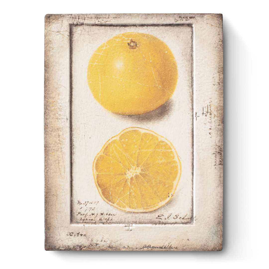 T 371 Citron - RETIRED Sid Dickens Memory Block