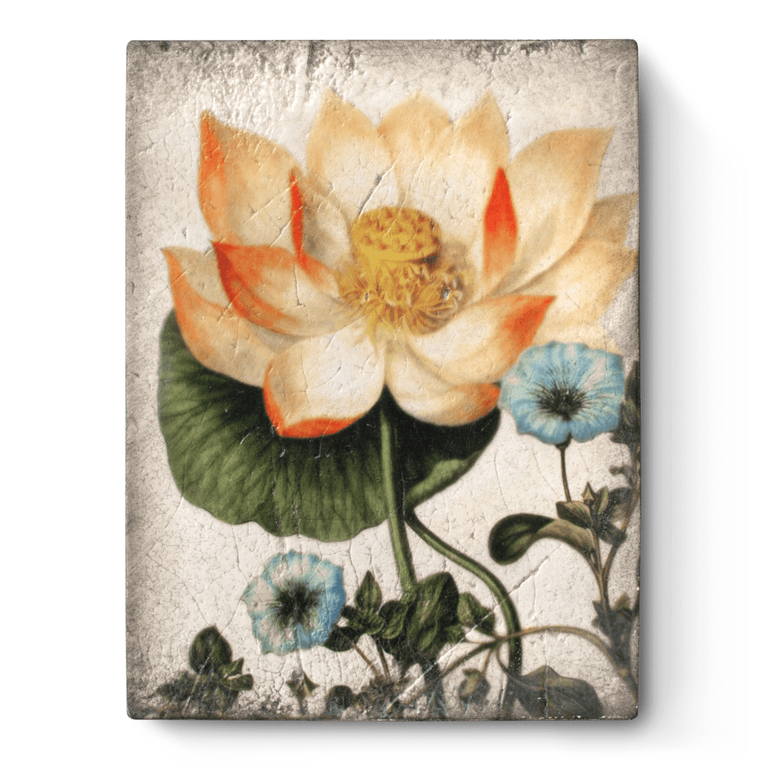 T 407 Sacred Lotus - RETIRED Sid Dickens Memory Block