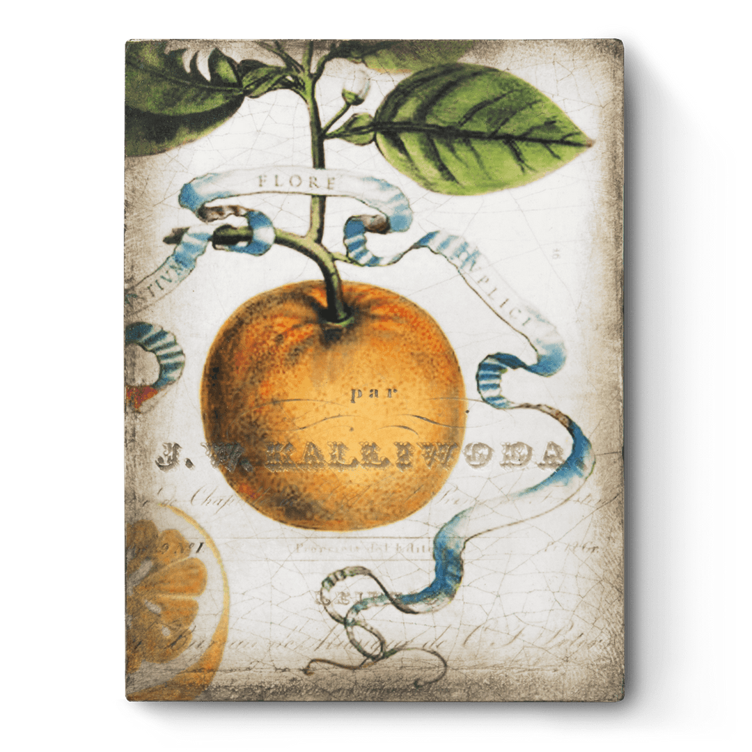 T 442 Sweet Orange - RETIRED Sid Dickens Memory Block