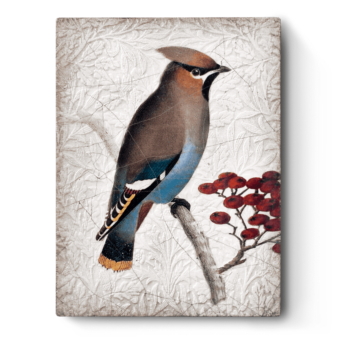 T 485 Waxwing - RETIRED Sid Dickens Memory Block