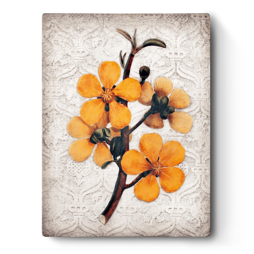 T 491 The Optimist RETIRED Sid Dickens Memory Block