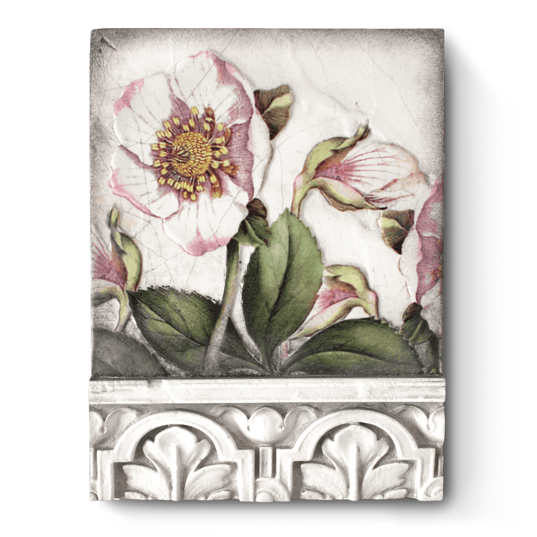 T 501 Hellebores Retired Sid Dickens Memory Block