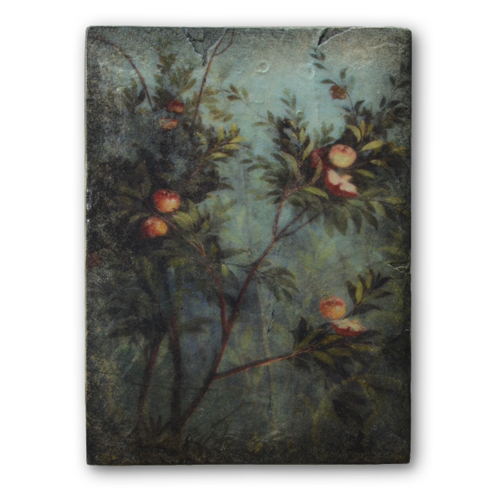 T 535 Nature’s Glory Retired Sid Dickens Memory Block