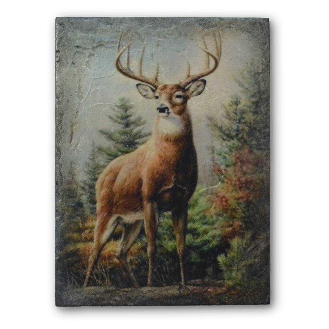 T 541 Noble Stag Sid Dickens Memory Block