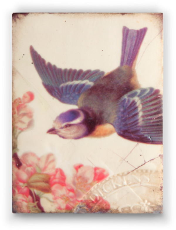 T 241 Harmony - RETIRED Sid Dickens Memory Block