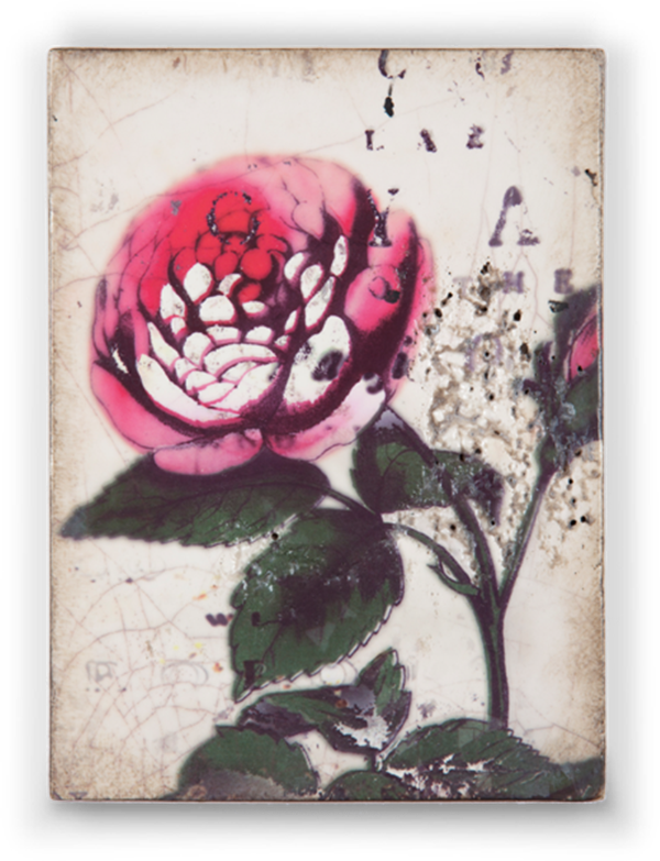 T 290 Rose - RETIRED Sid Dickens Memory Block