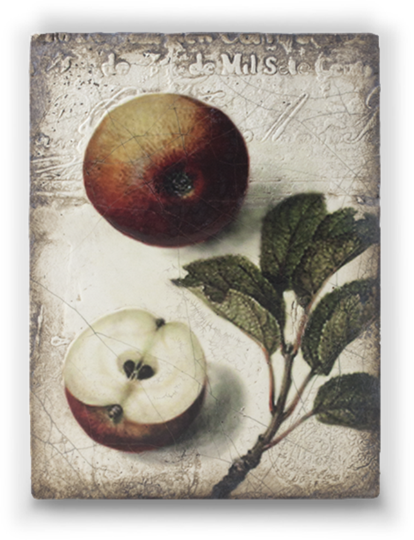 T 387 Nature’s Gift - RETIRED Sid Dickens Memory Block