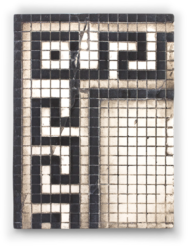 T 419 Cryptic - RETIRED Sid Dickens Memory Block
