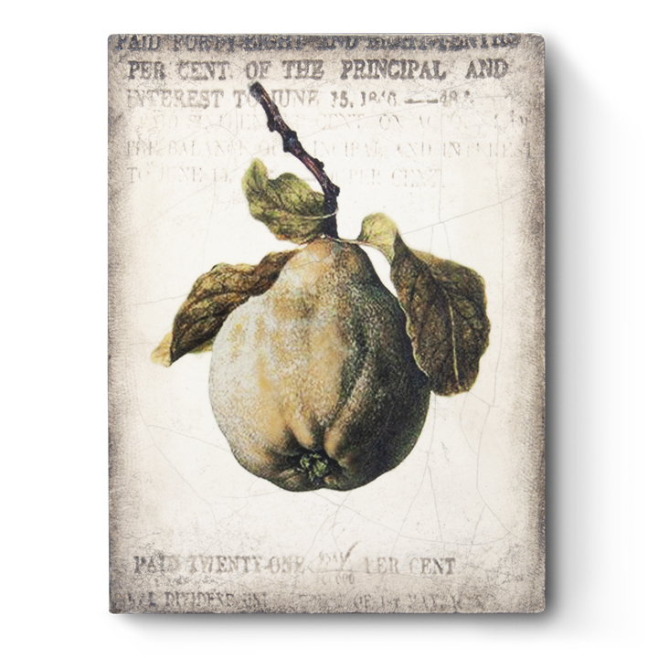 T 430 Ancient Pear - RETIRED Sid Dickens Memory Block
