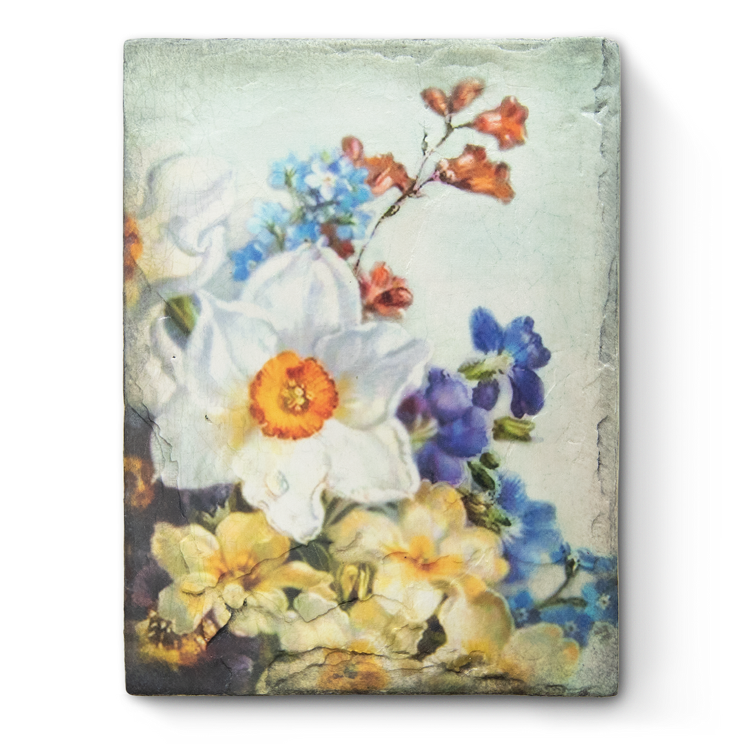 T 585 Fresh Beginnings Sid Dickens Memory Block 2023 Spring Collection