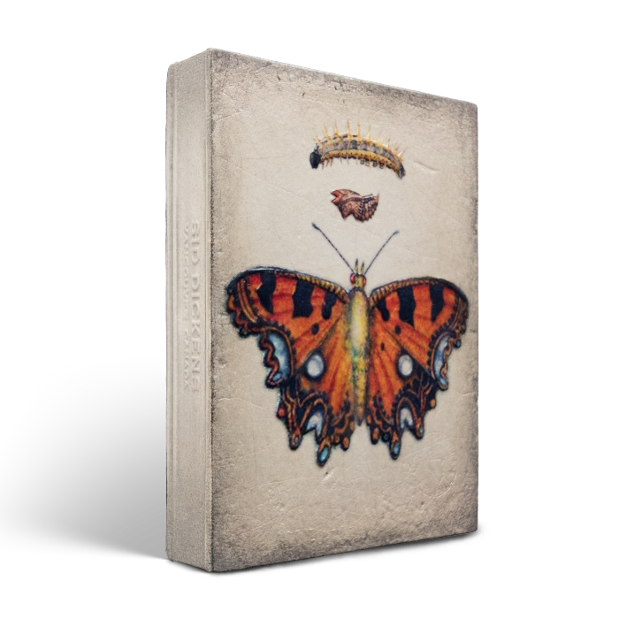 T 546 Chrysalis Retired Sid Dickens Memory Block