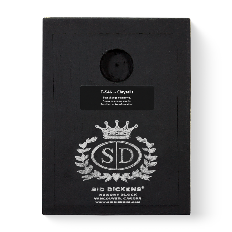 T 546 Chrysalis Retired Sid Dickens Memory Block