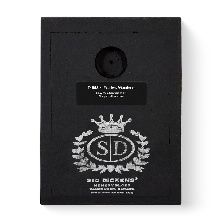 T 553 Fearless Wanderer Retired Sid Dickens Memory Block