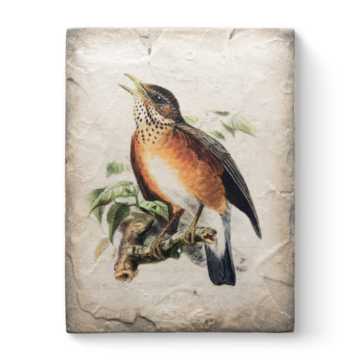 T 554 Sweet Melody Retired Sid Dickens Memory Block