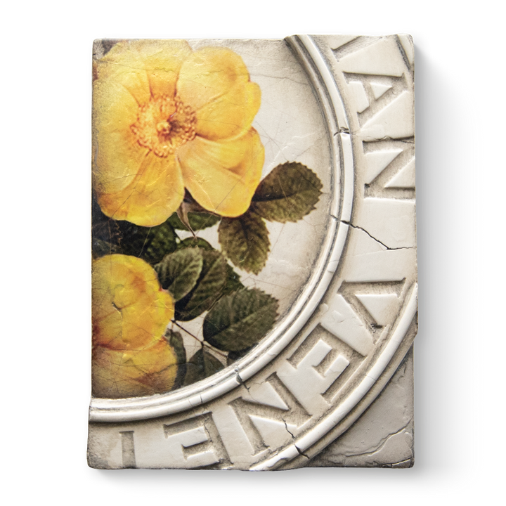 T 556 Rosa Retired Sid Dickens Memory Block