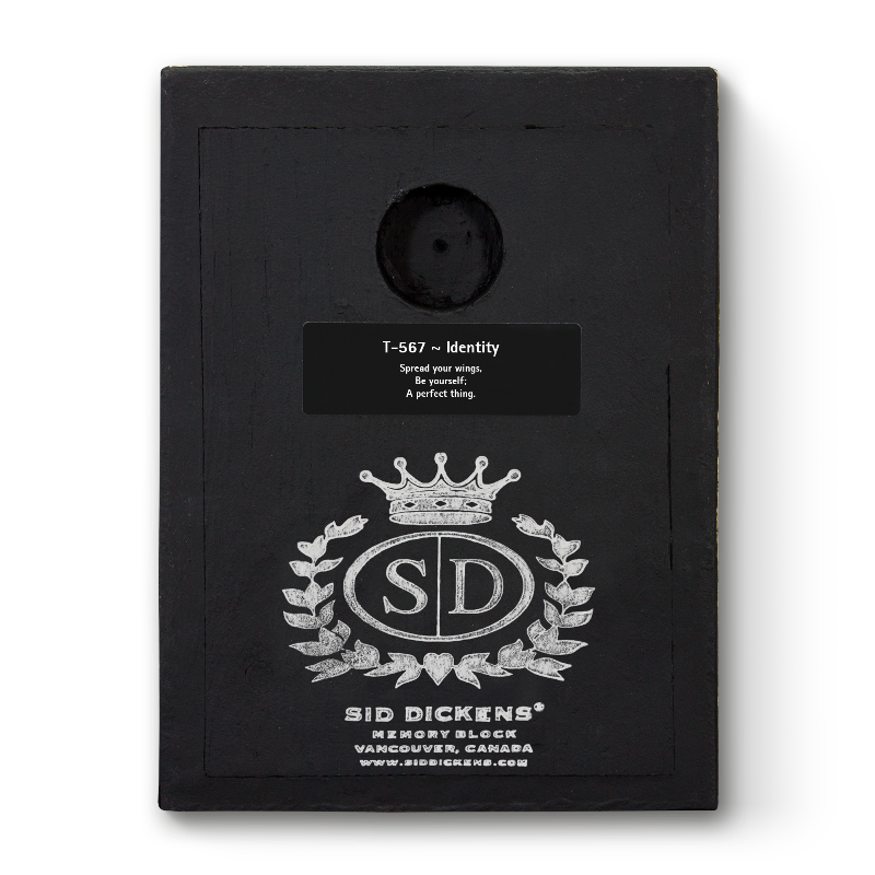 T 567 Identity Sid Dickens Memory Block