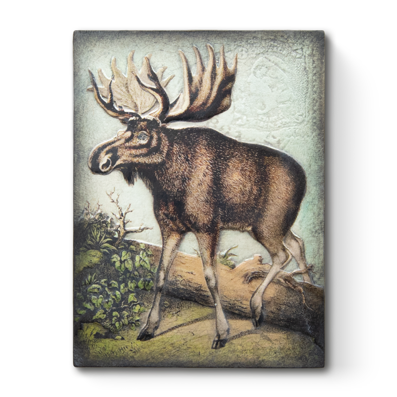 T 569 Stoic Titan Sid Dickens Memory Block