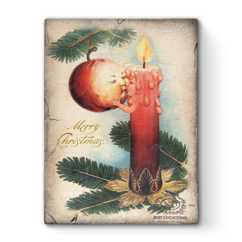 T 576 Sweet Lux Sid Dickens Memory Block