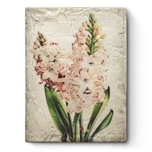 T 636 Hyacinth Sid Dickens Memory Block