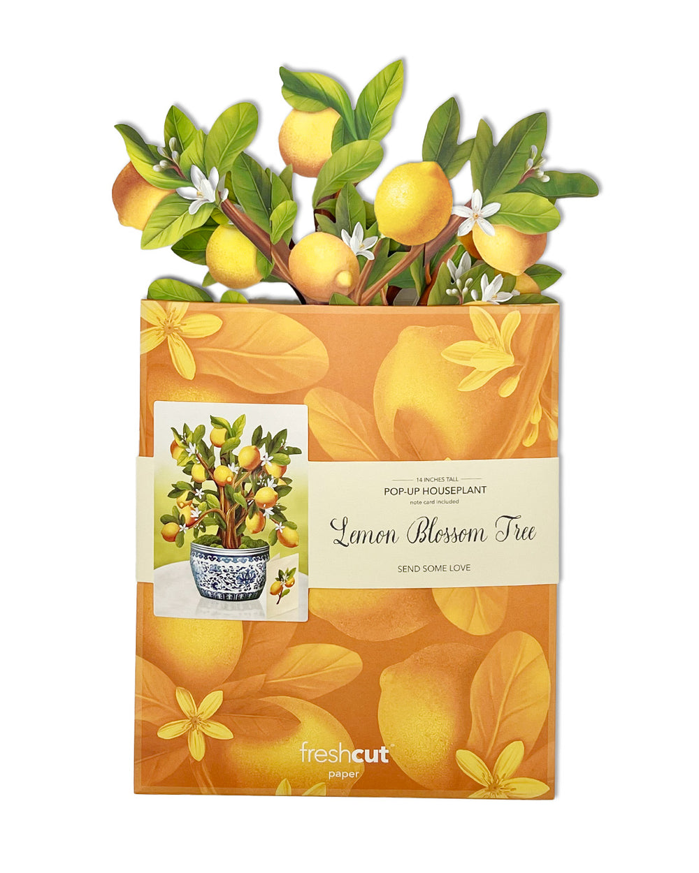 Pop Up Flower Bouquet Greeting Card - Lemon Tree