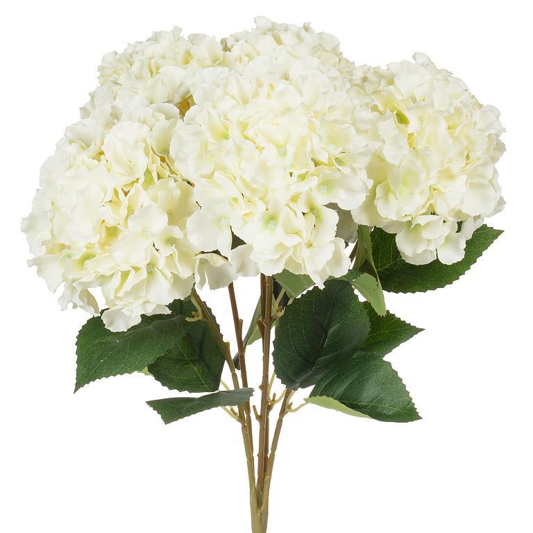 Hydrangea Bouquet White