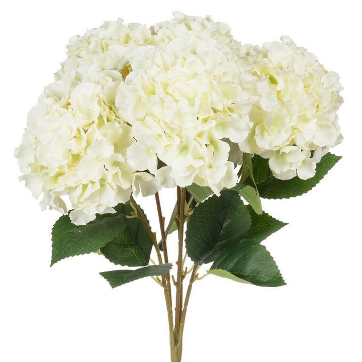 Hydrangea Bouquet White